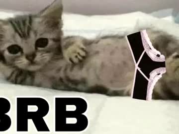 _meowmiko__