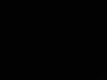 jaxen_kade