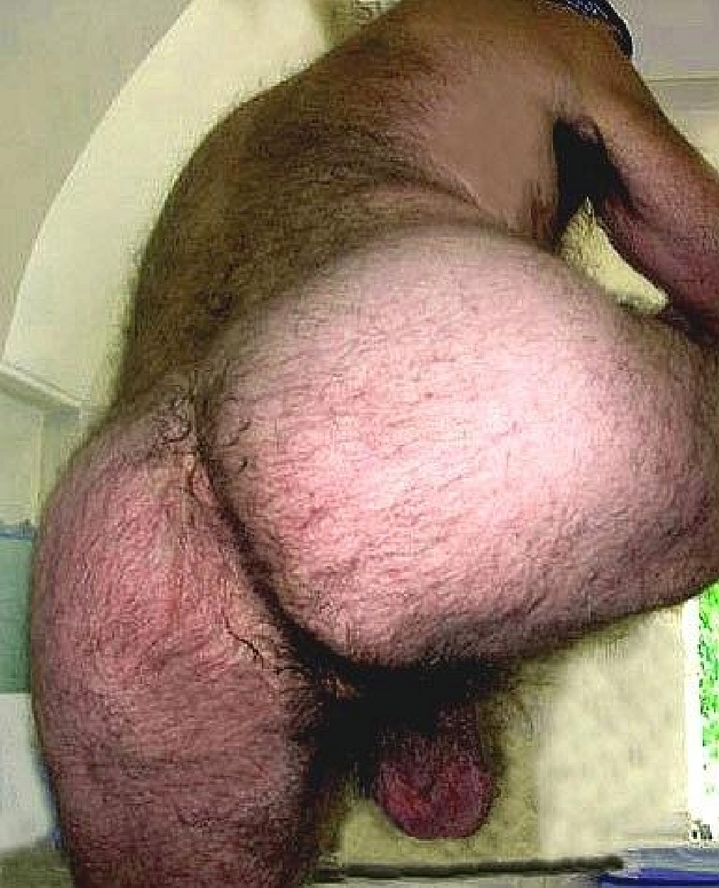 bears and very hairy men — 11