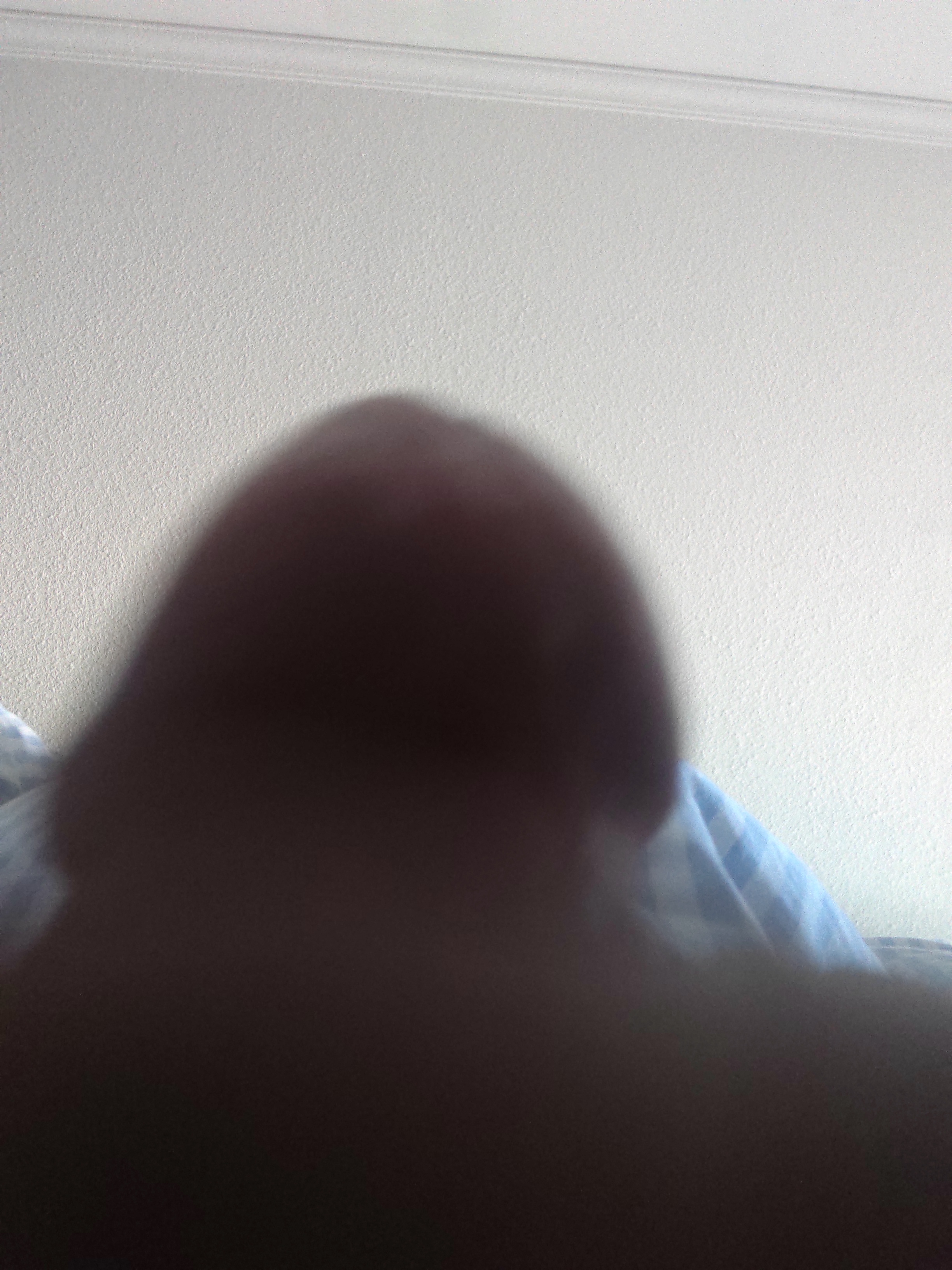 divin paja — 5