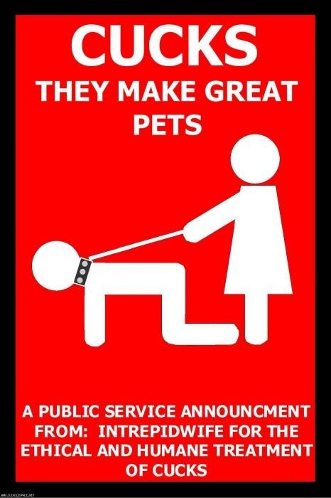 Funny Pictures &amp; Signs — 7