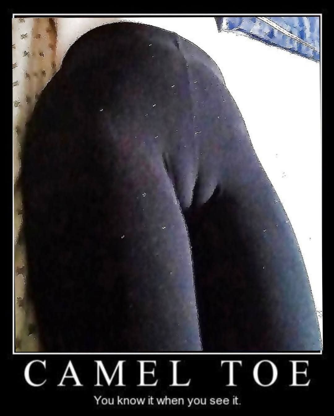 Wifes cameltoe one of the best out there. — 17