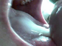 Oral Creampie Gif — 5