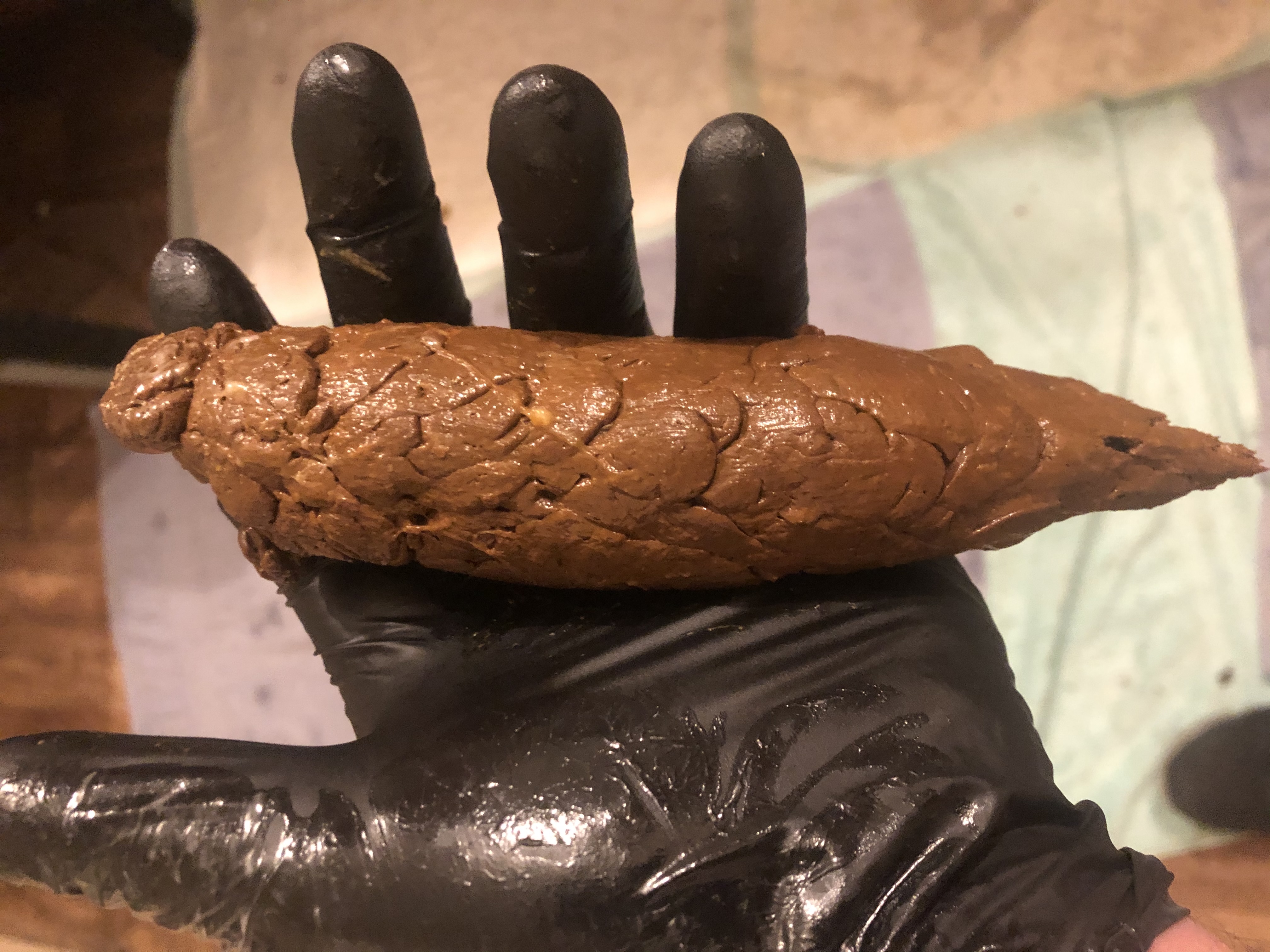 Nasty solo male scat ;) — 31