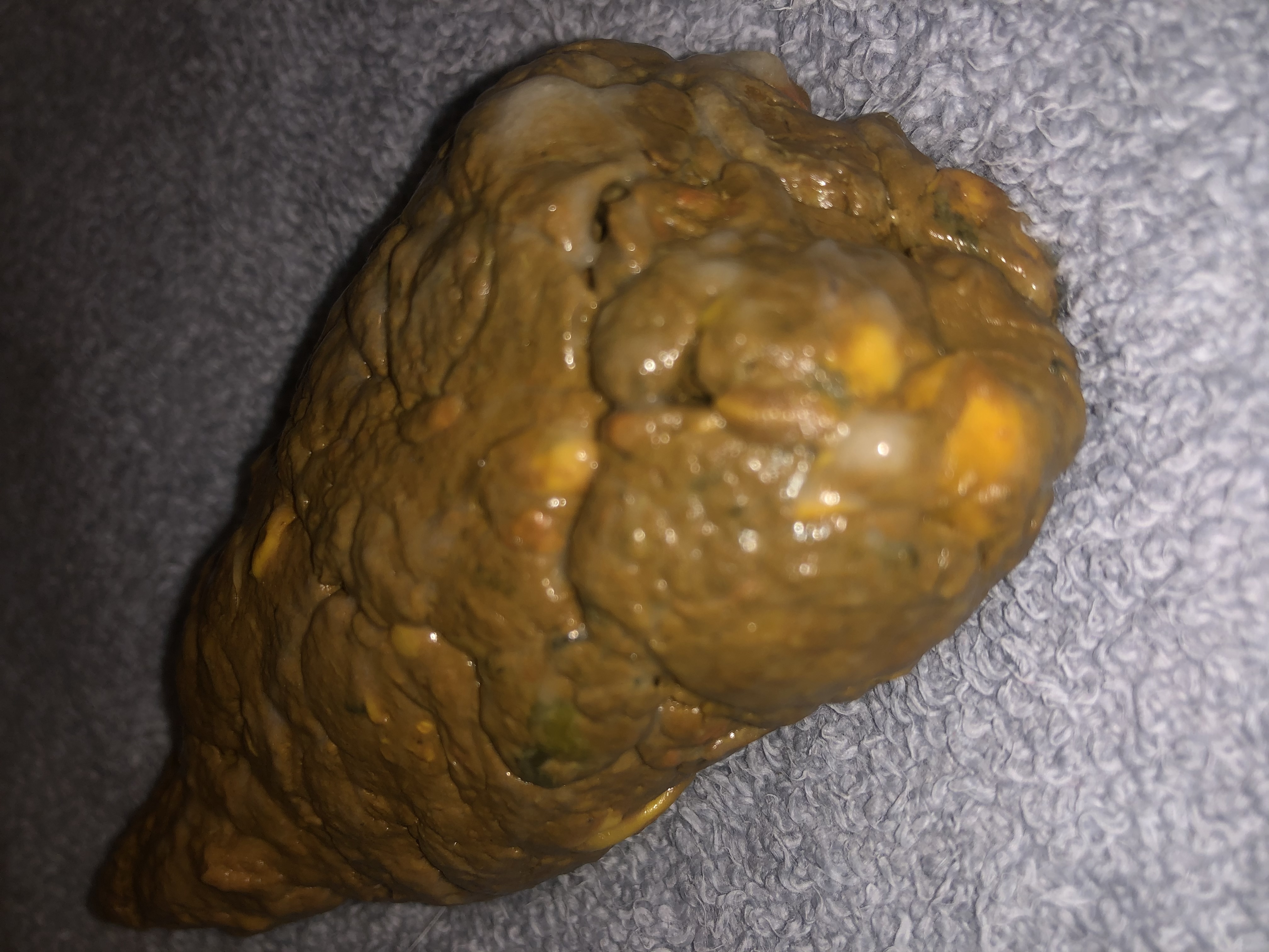 Nasty solo male scat ;) — 9